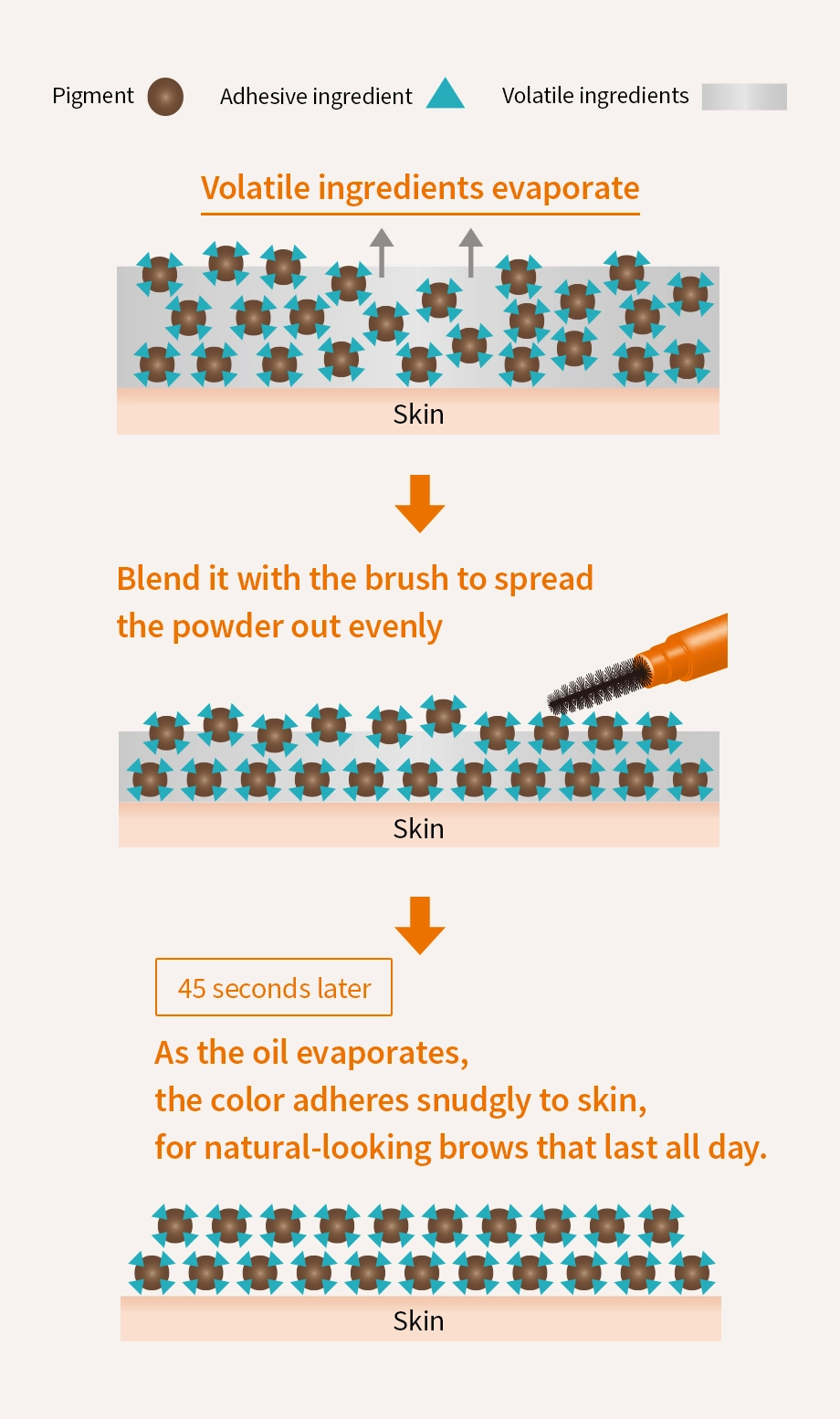 Waterproof formula resist sebum, sweat, and rubbing.